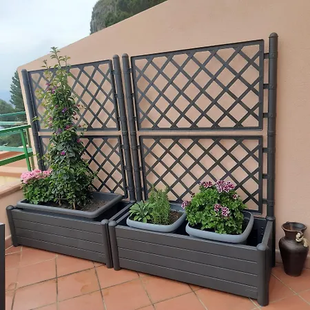 La Terrazza Sul Mare Forza dʼAgro