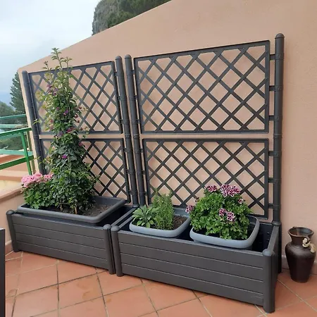 La Terrazza Sul Mare Apartment